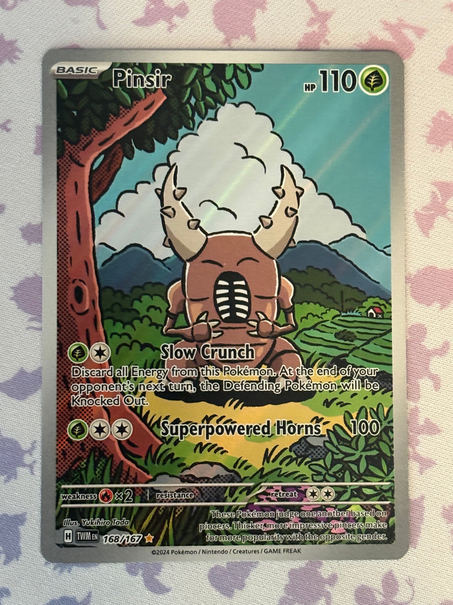 Pinsir 168/167
